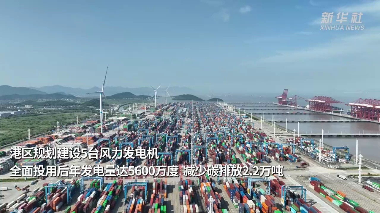 活力中国调研行｜浙江宁波：“绿色港口”的智能化转型